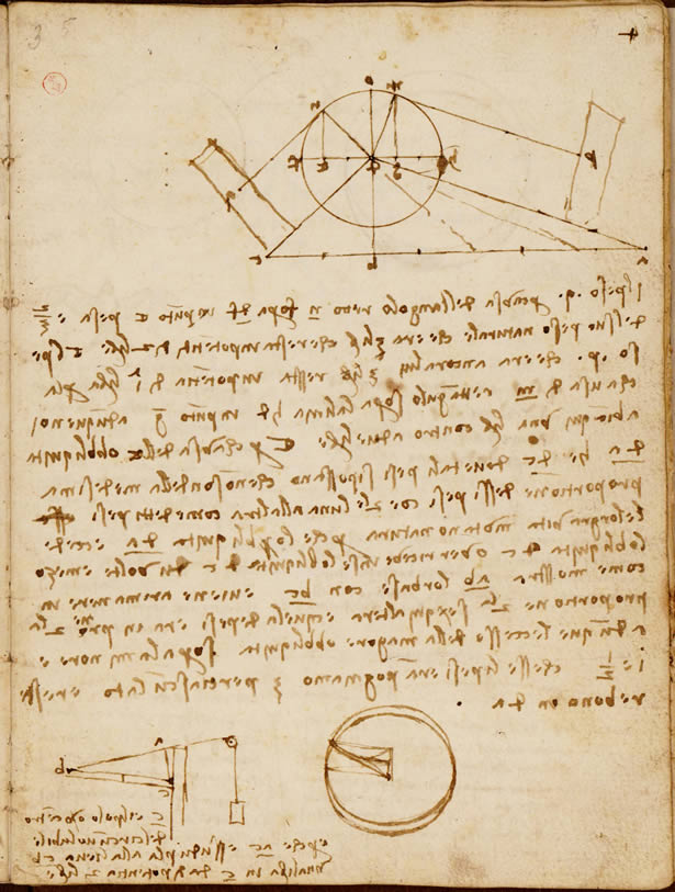 Codex on the Flight of Birds of Leonardo